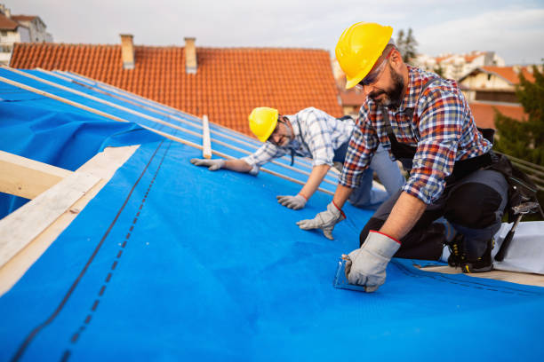 Best Roof Gutter Cleaning  in Larchmont, NY